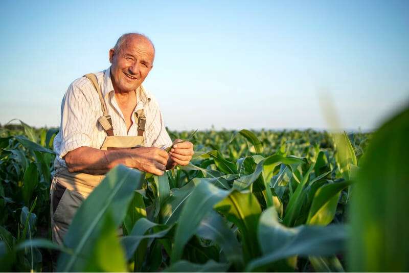 Agricultor, conheça a DAP