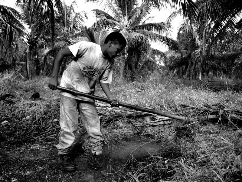 Tempo de trabalho na infância conta para aposentadoria rural?