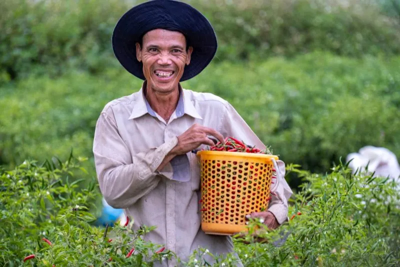 Aposentadoria por idade rural para Lavrador e Pescador
